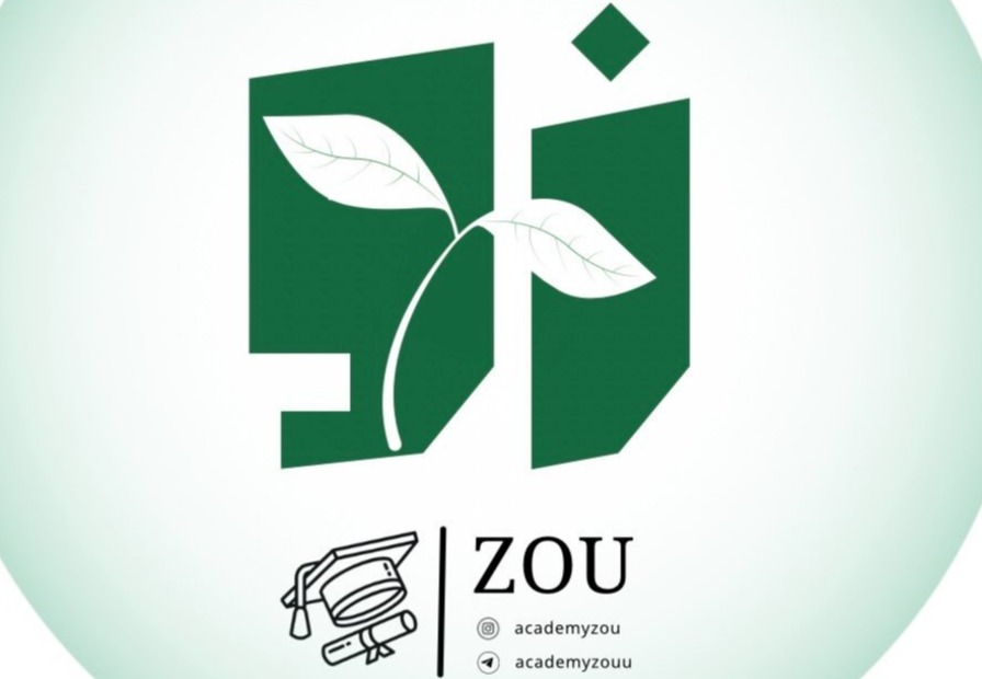 آکادمی مشاوره زو